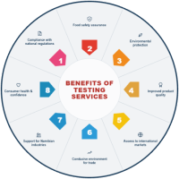 Benefits of testing services (1)